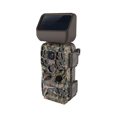 China New Design Wildlife Thermal Imaging Night Vision Infrared Camera Weather-Resistant Outdoor Waterproof Solar Hunting Camera for sale