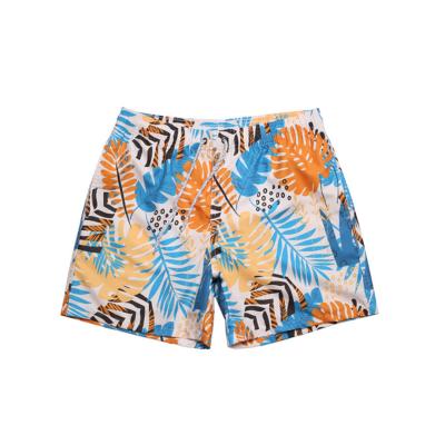 Chine 3D imprimé Pour Hommes Costumes de bain Shorts de planche Shorts de plage à vendre