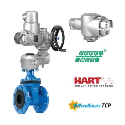 Κίνα Stock Supplier Auma Multi-Turn Valve Actuator SA 07.2 SA07.6 SA10.2 SA14.2 SA16.2 SA 14.6 Electric Actuators and GST Gearbox With Chinese BAll Valves προς πώληση