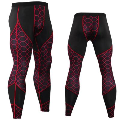 China Fitness Breathable Sports Activewear Running Wear Gaiters Stretch Pants Gym Compression Tights For Men for sale