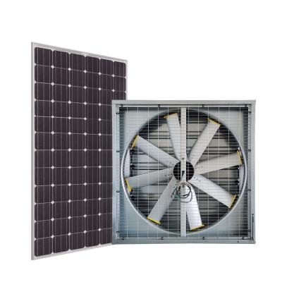 China Hotel Day Use 48 Inch Solar Powered Large Scale Industrial Wall Fan With 8 Blades Greenhouse / Poultry Fan for sale