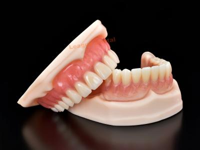 China Customized China Full Acrylic Denture For Enhanced Retention And Comfort for sale