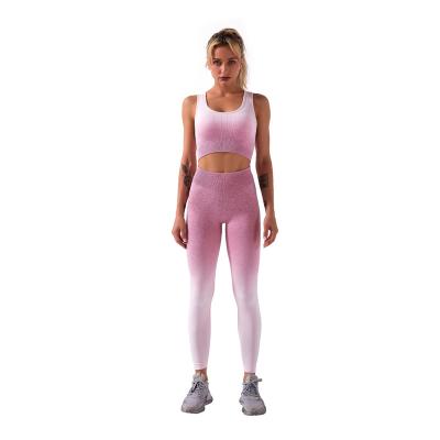 China Private Label Pink Breathable Workout Sets Sports Bra Leggings Nylon Spandex Ribbed Women's 2 Piece Seamless Yoga Set for sale