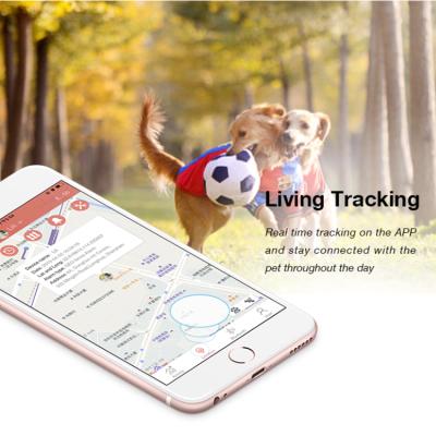 China Software Security Tracking Software In Platform For GPS Tracker Children / Older / Pet / Vehicle for sale