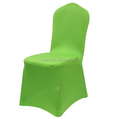 China Simple Wedding Favors Many Colors Lycra Spandex Chair Cover for sale