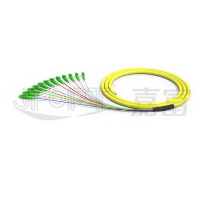 China PVC/LSZH/Customized FTTH LC bundle single mode LC/UPC pigtails 12 core color 12core fiber optic pigtail for sale