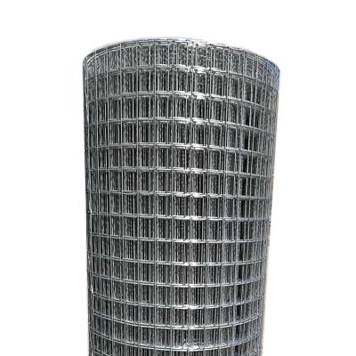 China Fence Mesh 100Ft Hot Dip Galvanized Gold Cup Welded Wire Mesh Gauge 16 for sale