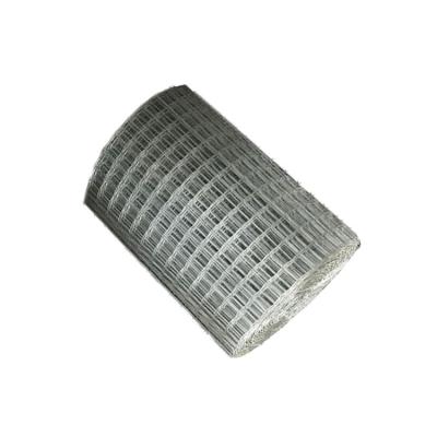 China Fence Mesh Gi 3/4