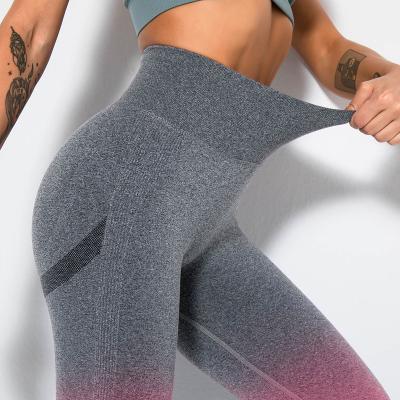 China Breathable High quality seamless gradient yoga pants Tight butt fitness running yoga pants for women for sale