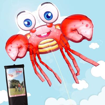 China Eco-friendly Material Family Summer Outdoor Games And Activities Cartoon Toys Kite Flying for sale