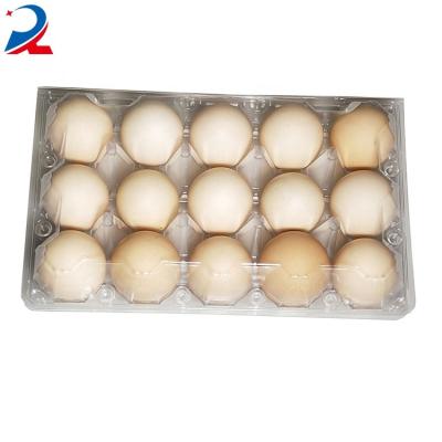 China Good Quality Cheap Plastic Clamshell Plastic Clamshell Egg Tray Morden Supplier China Plastic Food Tray for sale