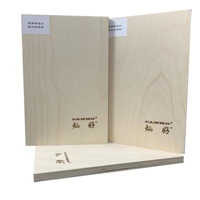 China Layer Tiger Birch Prefinish A4 Marine Face Plywood Birch from EUROPE 13 6Mm for sale