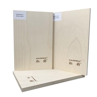 China Chinese B/BB MDF Baltic Baltic Birch Plywood 18Mm 18Mm Board With UV Coating for sale