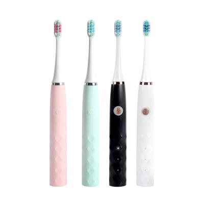 China Meidum Battery Powered Brisltes Dycrol Electric Toothbrush with 4 Replacement Brush Heads for sale