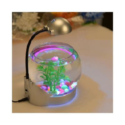 China Desktop Viable Glass Desktop Aquarium Mini Fish Tank Aquarium With Colorful Led Lamp Stands For Home for sale