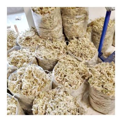 China OEM Eco-Friendly Dry Garden Supplies Lichen Dried Natural Preserved Peat Moss Green Muschio Mos Sphagnum Moss Custom Wholesale for sale