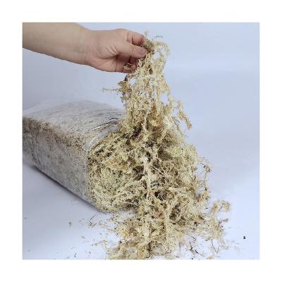 China Wholesale Eco-friendly Peat Substrate Sphagnum Peat Moss Fiber Long Sphagnum Moss For Plant Orchid for sale