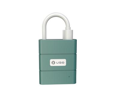 China Security Wholesale Smart Padlock Fingerprint Lock Cabinet Lock Smart Keyless Fingerprint Lock for sale