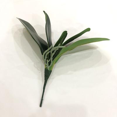 China Touch Natural Home Decoration Artificial Plants Green Artificial Phalaenopsis Leaves for sale