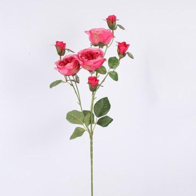 China Artificial Flowers 7 Austin Flower Natural Hot High Quality Wedding Decoration Table Main Sale Contact for sale