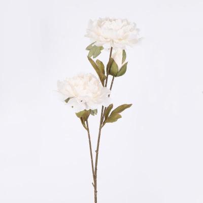 China Wholesale gifts and decorations of natural touch artificial flower flower stem factory Qiu Xiantao for sale