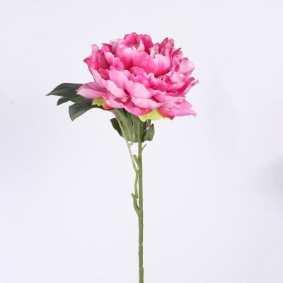 China Contact Factory Direct Selling Dali Flower Home Wedding Party Artificial Flowers Natural Wound Peony for sale