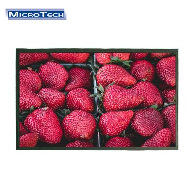 China 10 Inch 1920*1200 Pixel 40 PIN IPS TFT LCD Monitor 10.1 10.1 Inch for sale