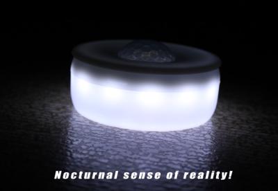 China USB Unique Intelligent Induction Lamp / Motion Sensor Night Light No Stimulation for sale