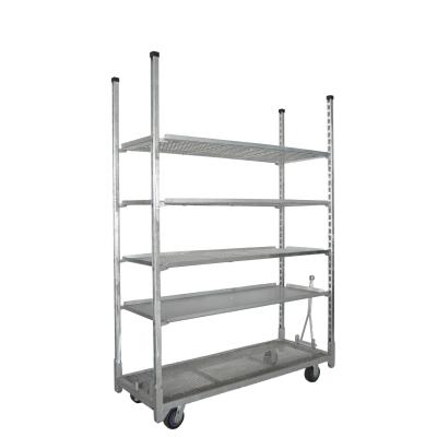 China Tools Flower Plant Nursery Cart Hot Galvanized for sale