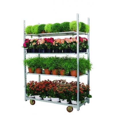 China Greenhouse Greenhouse and Garden Flower Cart Cart Factory Price for sale