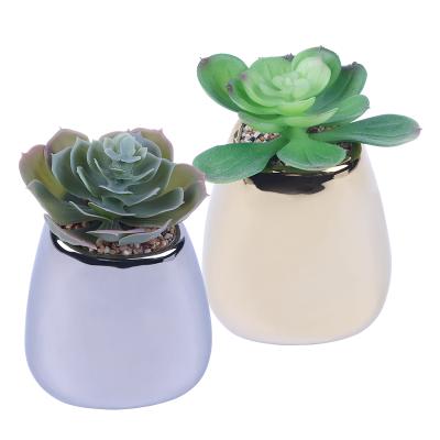 China High Quality Mini Succulent Cactus Plants Artificial Minimalist ES1188-1 Small Succulent Pots for sale