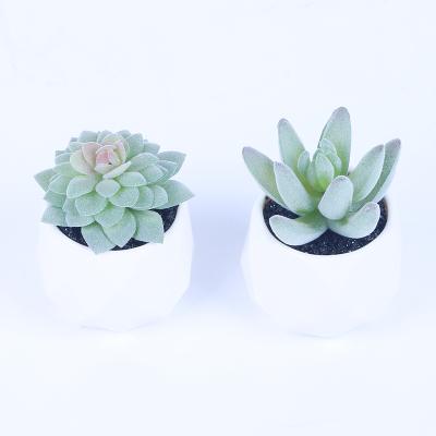 China High Quality Minimalist ES1164-1 Artificial Succulent Plants With Mini Ceramic Pot for sale