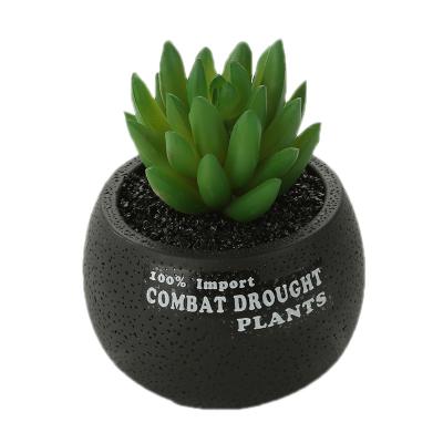 China 2019 Potted Artificial Bonsai Plant Eco-friendly Mini Home Decoration Plastic Succulent In Cement Pot ES0251 for sale