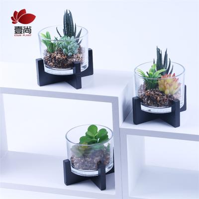 China Green plant minimalist cheap potting simulation glass bottle artificial potted plant ES0842 for sale