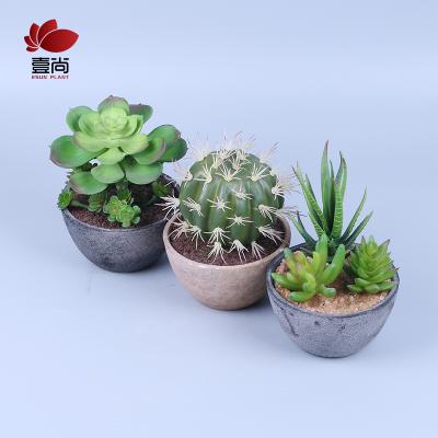 China High Quality Minimalist ES1136-1 Artificial Succulent Plants Set With Glass Pots In Wooden Tray Succulents For Home Decor for sale