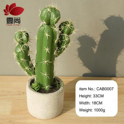 China CAB0007 Minimalist Plant Direct Bonsai Cements Artificial Cactus Plants for sale