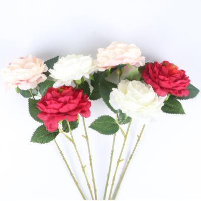 China China Wholesale Real Peony Artificial Flower FL0007-1 Touch Eco-friendly for sale