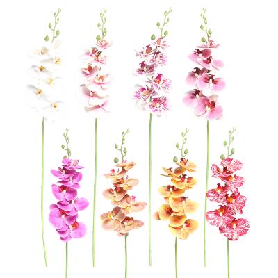 China Eco - Friendly Artificial Spray Orchid Flower With 7 Heads 6 Fruits Home Decoration FL0010 for sale