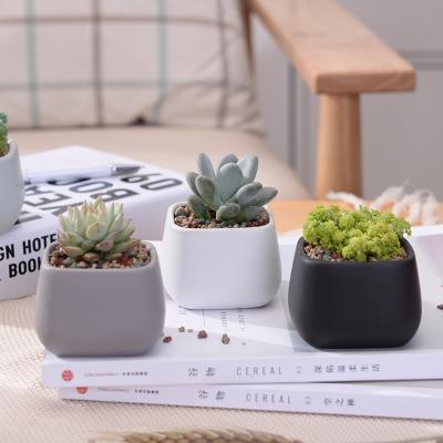 China CLASSIC Matte Cute Nordic Style Ceramic Suqare Colorful Succulent Indoor Flower Plant Pots for sale