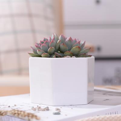 China CLASSIC Retro Custom Desktop Planters Pot Ceramic Succulent Flower Pot With Drain Hole for sale