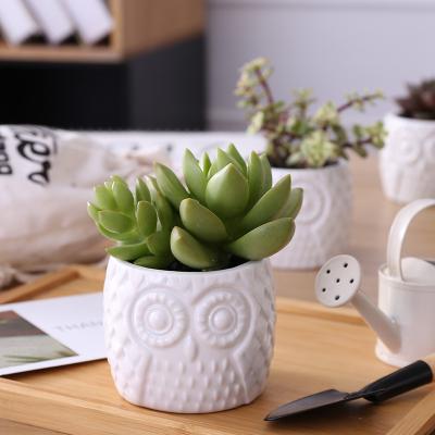 China Modern Animal Ceramic Round Shape Garden Wihte Whloesale Planter Succulent Plant Pots for sale