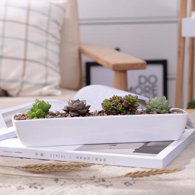 China Hot Sale Modern Simple Modern Rectangular White Ceramic Flower Pot With Drainage Hole for sale