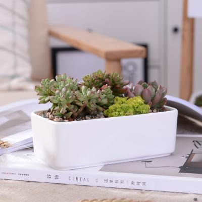 China Wholesale Modern Ceramic Decor CLASSIC Plant Garden Rectangle Modern White Flower Pots for sale