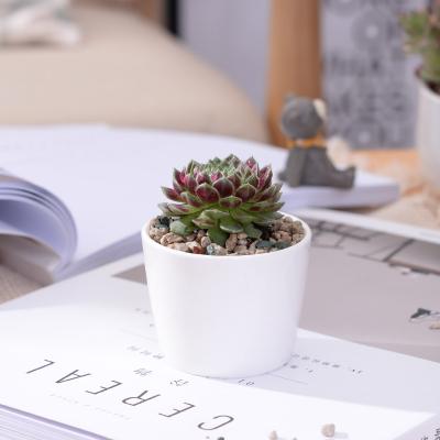 China Modern Factory Cheap Price Mini Cup Shape Indoor Cute Succulent Ceramic Flower Pot for sale