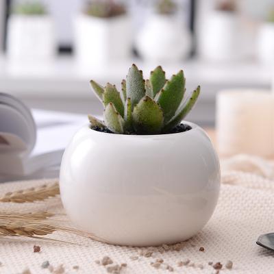 China Manufacturer CLASSIC Home Decoration And Garden Round Shaped White Flower Pots Ceramic Bulk for sale