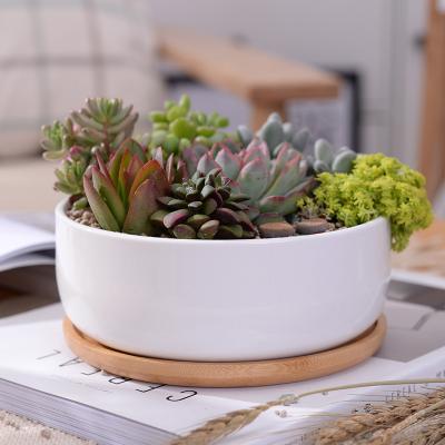 China The modern home ceramic flower pots indoor round shape decoration and garden volume for sale