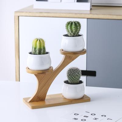 China CLASSIC Round Desktop Decoration Planter Plant Flower Pots Ceramic Succulent Indoor Wood for sale