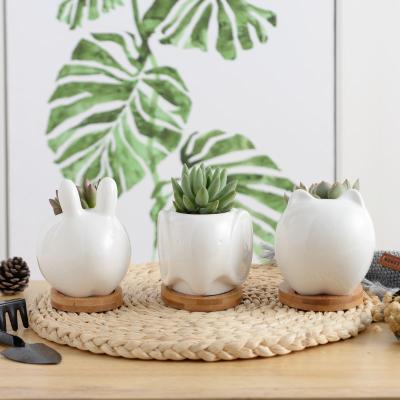 China Modern Wholesale Animal Shape Flower Pot Plant Ceramic Cute Succulent Pots For Garden for sale