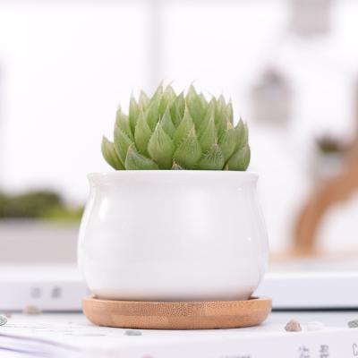 China Modern Hot Sale Porcelain Single Round Shaped Flower and Pot with Tray Bamboo Flower Pot Set for sale