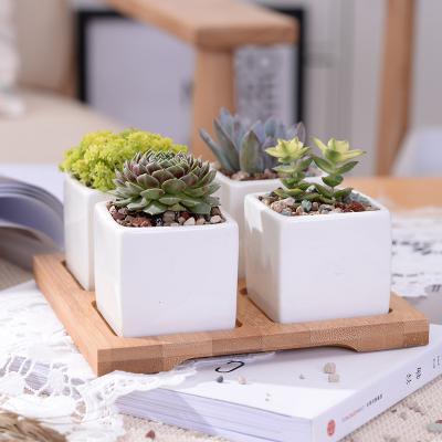 China Modern high quality small modern with square shape ceramic flower pot with bamboo tray for sale